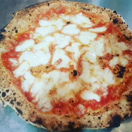 公寓 Vincenzo 托雷德尔格雷科