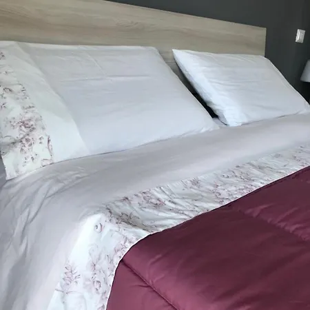 Vincenzo 公寓 托雷德尔格雷科